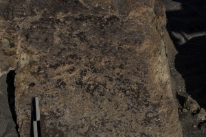 Piedra: 929, Cara decorada: I
