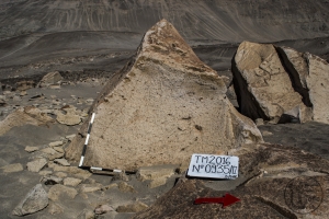 Piedra: 935, Cara decorada: II