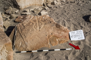 Piedra: 944, Cara decorada: I