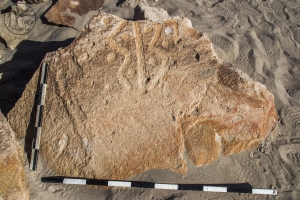 Piedra: 944, Cara decorada: I