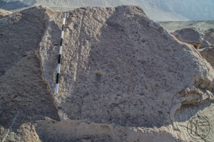 Piedra: 945, Cara decorada: III