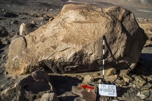Piedra: 945, Cara decorada: IV