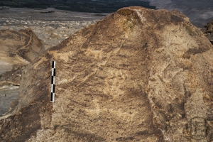 Piedra: 945, Cara decorada: I