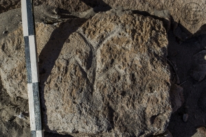 Piedra: 946, Cara decorada: III