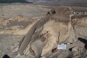 Piedra: 950, Cara decorada: I