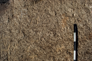 Piedra: 952, Cara decorada: III