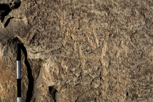 Piedra: 952, Cara decorada: III