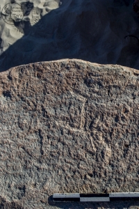 Piedra: 952, Cara decorada: IV