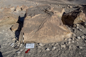 Piedra: 952, Cara decorada: I