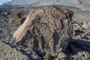 Piedra: 953, Cara decorada: III