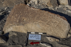 Piedra: 955, Cara decorada: I