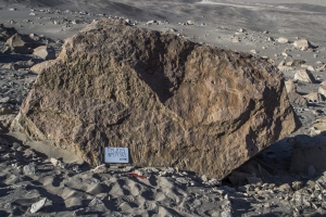 Piedra: 958, Cara decorada: I