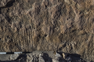 Piedra: 958, Cara decorada: I