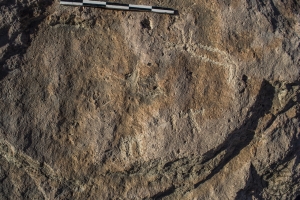 Piedra: 958, Cara decorada: I