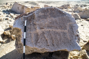 Piedra: 962, Cara decorada: I