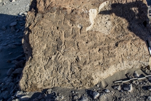 Piedra: 964, Cara decorada: I