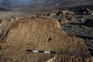 Piedra: 964, Cara decorada: I