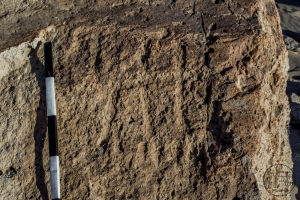 Piedra: 964, Cara decorada: I