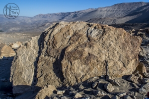 Piedra: 968, Cara decorada: II