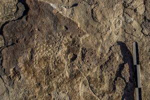 Piedra: 968, Cara decorada: II