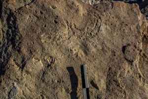 Piedra: 968, Cara decorada: II