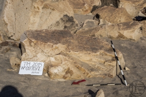 Piedra: 970, Cara decorada: I