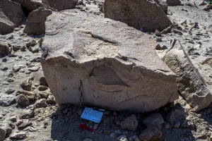 Piedra: 976, Cara decorada: I