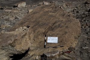 Piedra: 977, Cara decorada: I