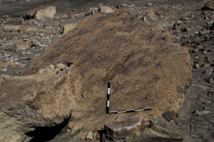 Piedra: 977, Cara decorada: I