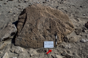 Piedra: 981, Cara decorada: II