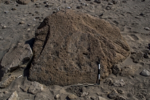 Piedra: 981, Cara decorada: II