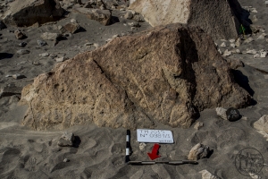 Piedra: 981, Cara decorada: I