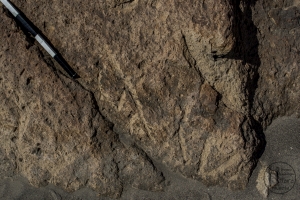 Piedra: 981, Cara decorada: I