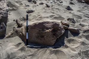 Piedra: 992, Cara decorada: I