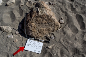 Piedra: 993, Cara decorada: I
