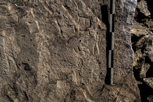 Piedra: 1002, Cara decorada: II