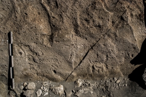 Piedra: 1002, Cara decorada: II