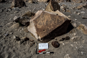 Piedra: 1005, Cara decorada: I