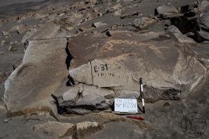 Piedra: 1023, Cara decorada: II
