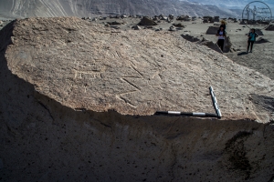 Piedra: 1035, Cara decorada: III