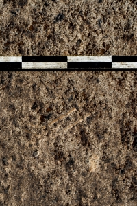 Piedra: 1037, Cara decorada: I