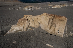 Piedra: 1044, Cara decorada: I