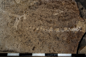 Piedra: 1044, Cara decorada: I
