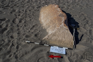 Piedra: 1045, Cara decorada: I