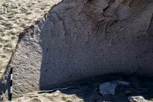 Piedra: 1053, Cara decorada: II