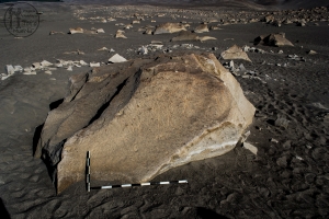 Piedra: 1055, Cara decorada: I