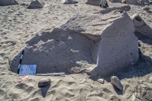 Piedra: 1059, Cara decorada: I