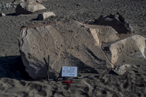 Piedra: 1060, Cara decorada: I