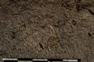 Piedra: 1061, Cara decorada: III