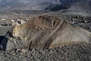 Piedra: 1061, Cara decorada: II